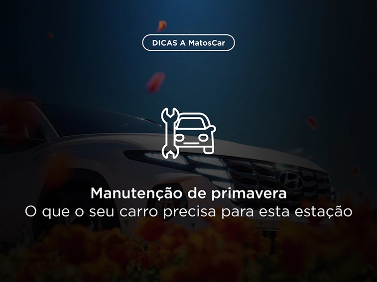 Com o começo da primavera, é importante corrigir o desgaste causado pelo inverno. Com uma manutenção simples, evite avarias!