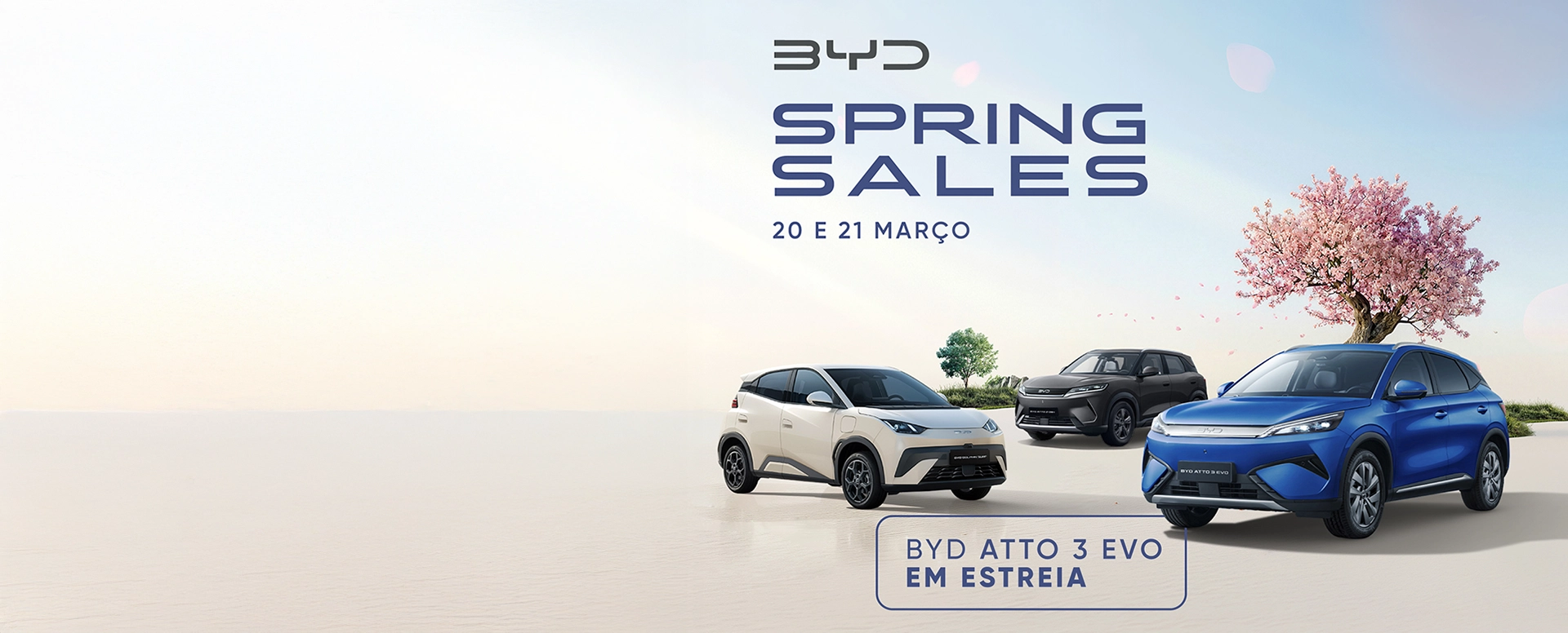 BYD Spring Sales