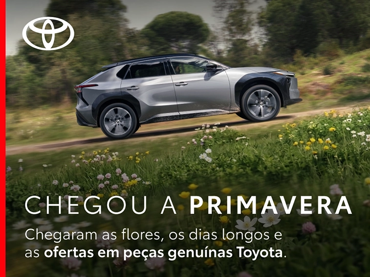 toyota-campanha-primavera